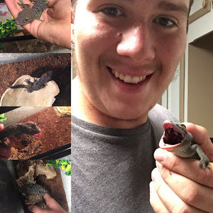 Meet your Posher, Garrett